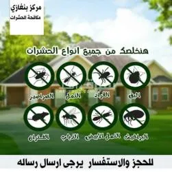 مكافحة حشرات المنازل - 2