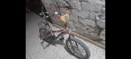 جالو - 4